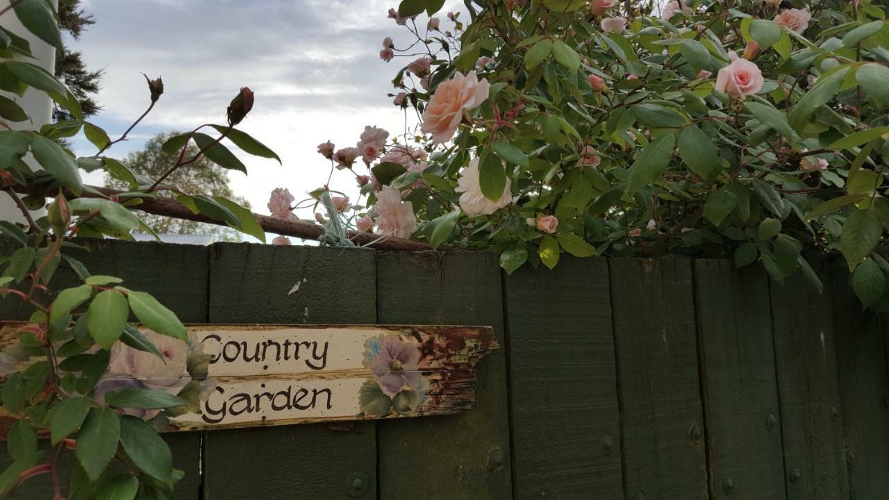 Dragonflycottagebnb Grovetown Exterior photo